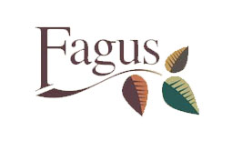 Fagus Foundation Log