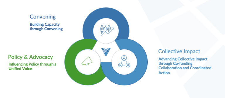 VFN's Strategic Pillars